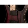 PRS DW CE 24 “Floyd” Limited Edition